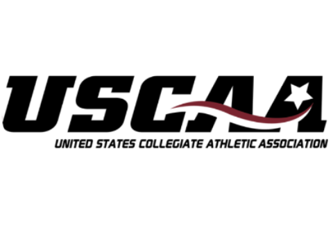 The logo of https://www.theuscaa.com/landing/index
