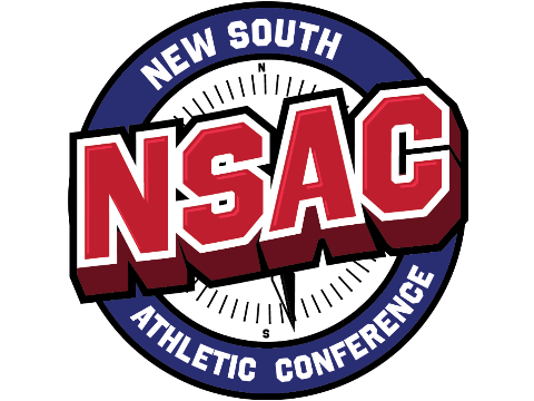 The logo of https://newsouthconference.com/